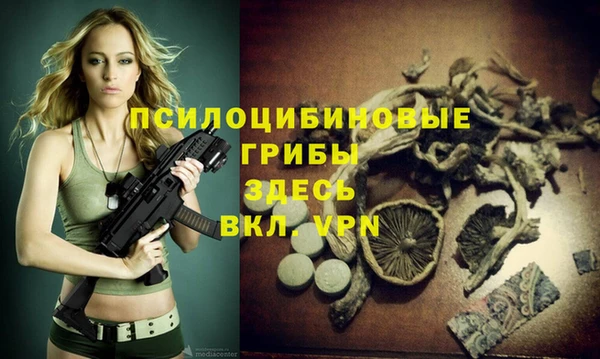 стаф Абаза