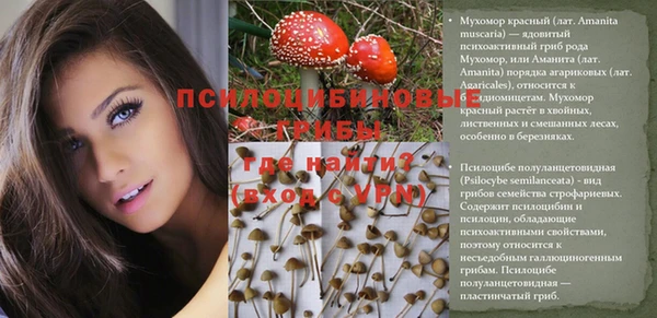 стаф Абаза