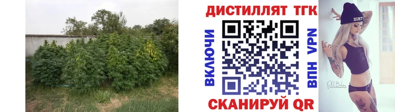 ТГК вейп  Шлиссельбург 
