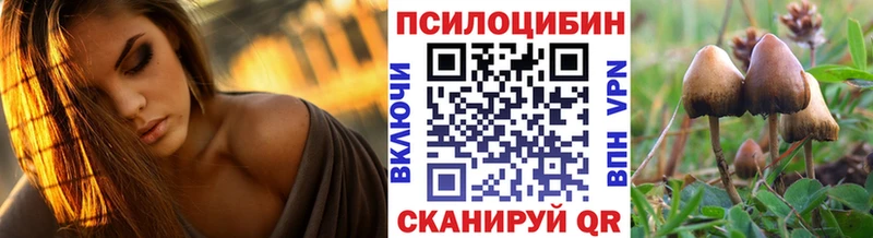blacksprut Шлиссельбург Псилоцибиновые грибы ЛСД